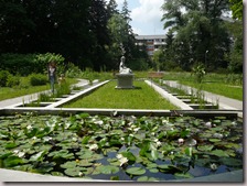 Gradina Botanica Cluj